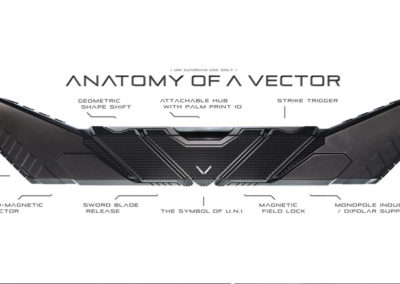 Anatomy of a vector